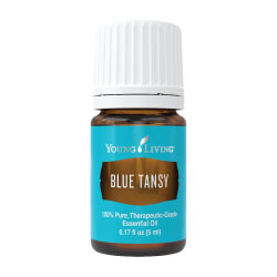 What is blue tansy essential oil?