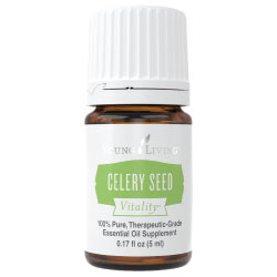 Buy Celery Seed Essential Oil Here!