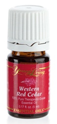 Buy Western Red Cedar Essential Oil Here!