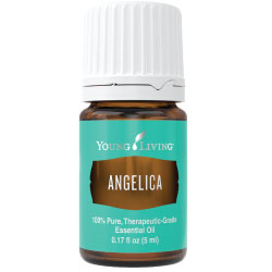 Buy Angelica Root Essential Oil Here!