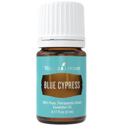 Buy Blue Cypress Essential Oil here!
