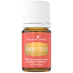 Buy Carrot Seed Essential Oil Here!