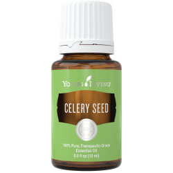 Buy Celery Seed Essential Oil Here!