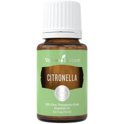 Buy Citronella Essential Oil Here