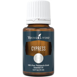 Buy Cypress Essential Oil Here!