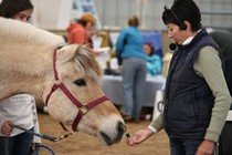 Equine Wellness Expo 2012