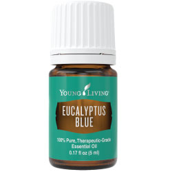 Eucalyptus Globulus Essential Oil