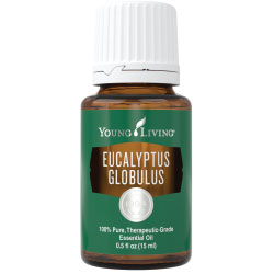 Buy Eucalyptus Blue Here!