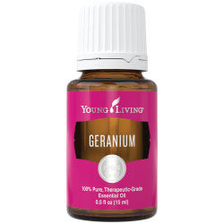 Buy Geranium Essential Oil Here!