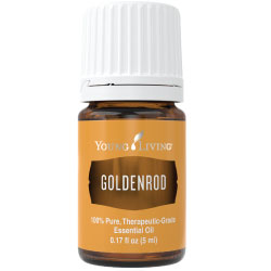 Buy Goldenrod Essential Oil Here!