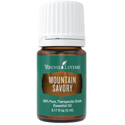 Buy Mountain Savory Essential Oil Here!