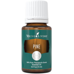 Buy Pine Essential Oil Here!