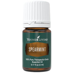 Buy Spearmint Essential Oil Here!