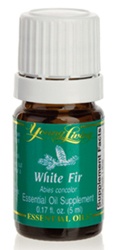 Buy White Fir Essential Oil Here!