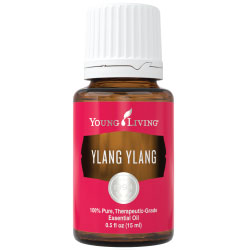 Buy Ylang Ylang Essential Oil Here!